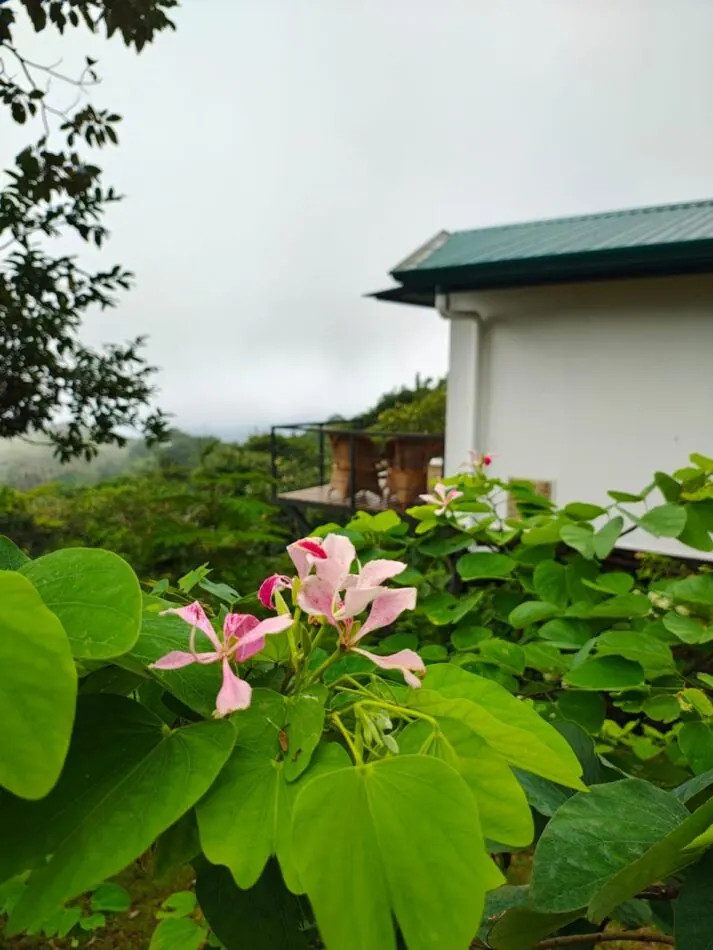 Huerto del restaurante